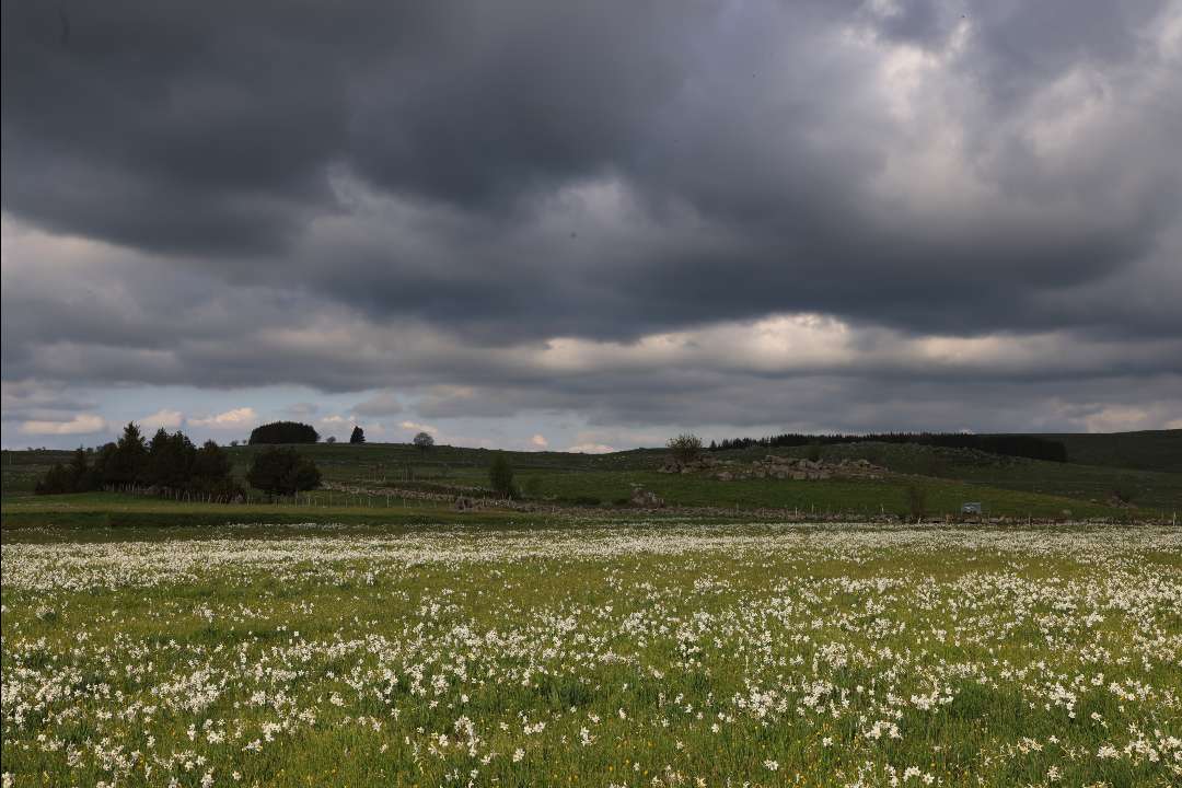 Paysage Paysage